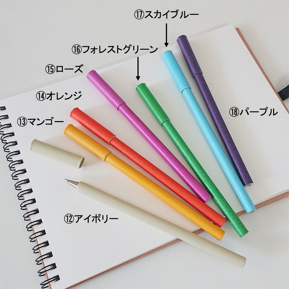 紙ペン　キャップ式ボールペン　２本セット