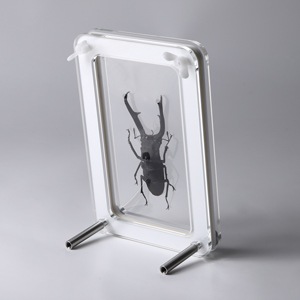 AXellar S-size