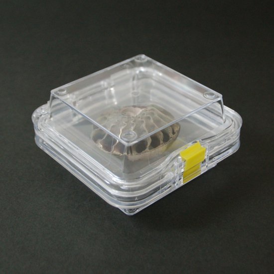 BOXEL　OUTLET　No.33