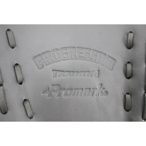 PROMARK (プロマーク) 硬式野球・軟式野球兼用 トレーニンググローブ