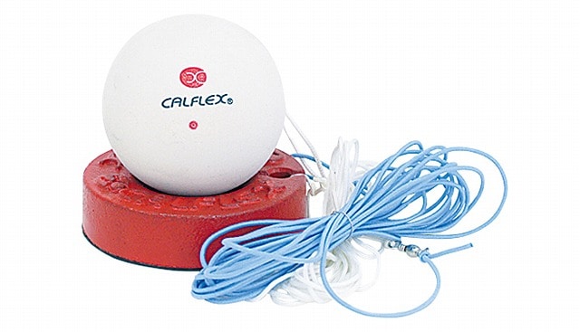 CALFLEX (����ե�å�����  �����եƥ��Х�֥��եȥƥ˥��ȥ졼�ʡ� TT-21