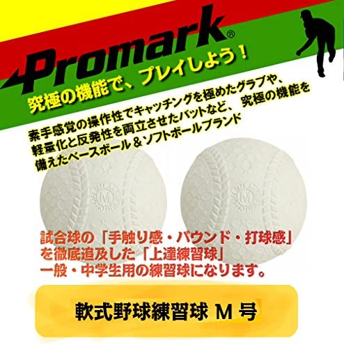 PROMARK (プロマーク) 一般・中学生用軟式練習球 【M号】 12球入 LB