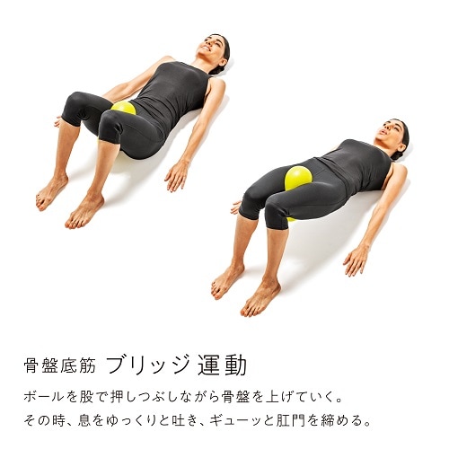 erugam (エルガム） 骨盤底筋しまり 54174