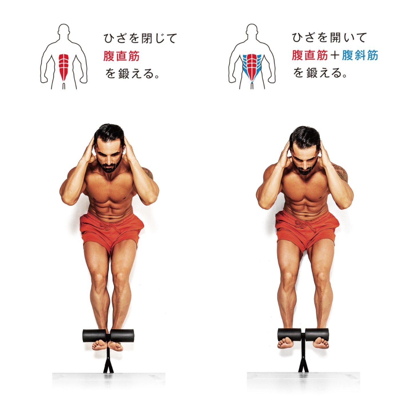 erugam (エルガム） 腹筋ドアバー 54176( トレーニング 腹筋 背筋 全身