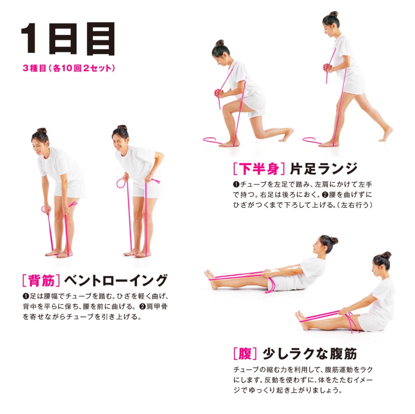 erugam 筋トレチューブ 健康のメニュー ピンク スタンダード 54191 