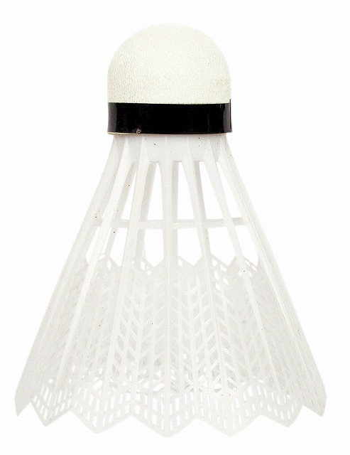 CALFLEX (����ե�å�����  �ʥ����󥷥�ȥ륳�å� 24������ NSE-24