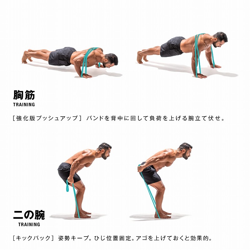 erugam (���륬���  �������Х�ɡʥϡ��ɡ� 54155