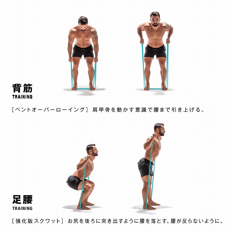 erugam (���륬���  �������Х�ɡʥϡ��ɡ� 54155