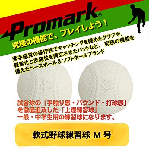 PROMARK (�ץ��ޡ���) ���̡�������� �������塡�ڣ͹�ۡ�2���� LB-300M