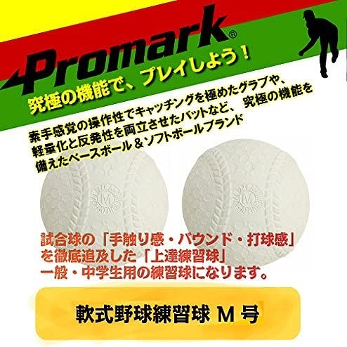 PROMARK (�ץ��ޡ���) ���̡�������� �������塡�ڣ͹�ۡ�12������12P����� LB-312MSP