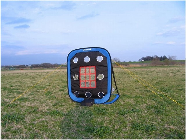 PROMARK (ץޡ)  ԥåȥ졼ʡ PN-300