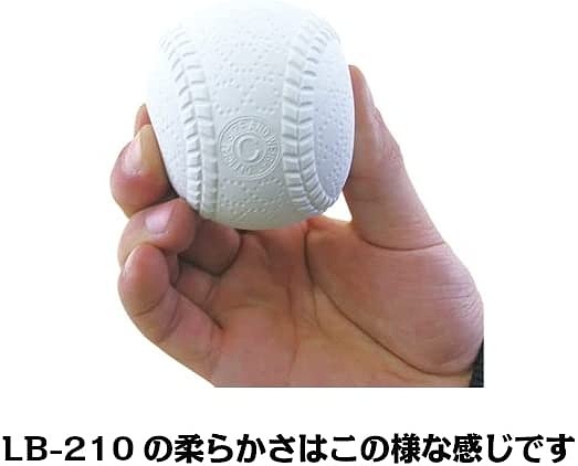 ���餫���Τ˥���֤������𼰵塡LB-210