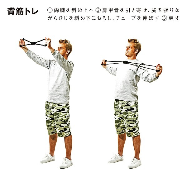 erugam (���륬���  �ڥȥ�λ��֤���ϡ��� 54148