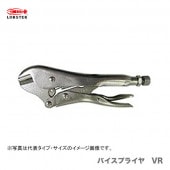 ڿʡۡڿ̸ۡҥ֥ƥåӥХץ饤䡡VR175