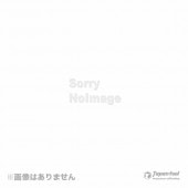 ڥۡSTSӽġž꡼졼٥롡GSL-VH10ѷŷޥȡKM-210