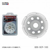 ڥۡҥȥ業ӡɥۥ롡ɽ̸ѡGDS-SCP-100