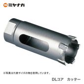 �ҥߥ�ʥ��� DL���������å�����DLC60C �ڥ��������