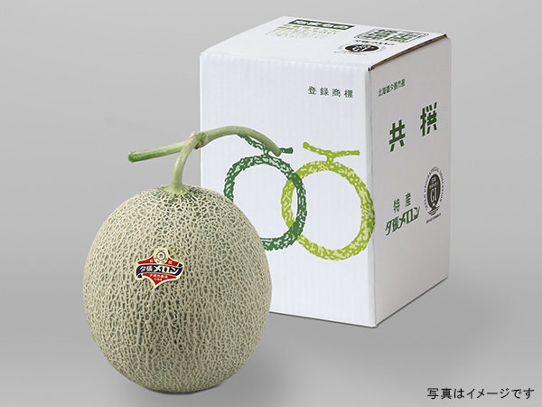 夕張メロン 秀品1玉 | 夕張メロン 秀品 | 夕張メロンのことなら・JA