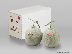 【宝】夕張メロンセット 夕張メロン 秀品2玉セット（スペシャルボックス入） | 夕張