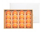 ͼĥԥ奢꡼ץߥࡡ16