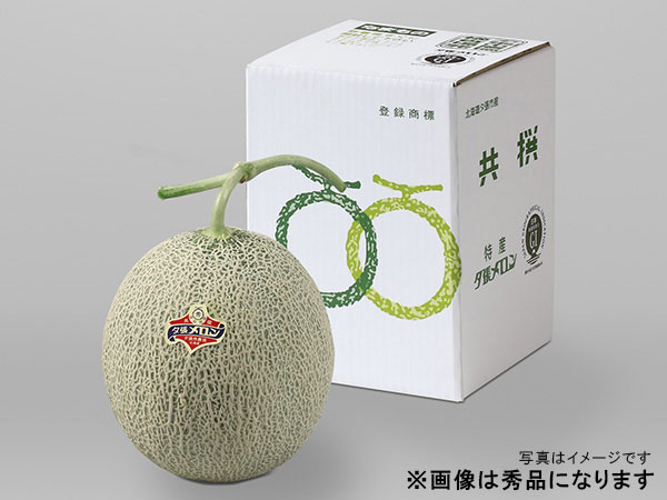 早期発送】夕張メロン1玉 | 夕張メロン【早期発送】 | 夕張メロンの