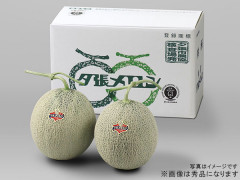早期発送】夕張メロン2玉セット | 夕張メロン【早期発送】 | 夕張