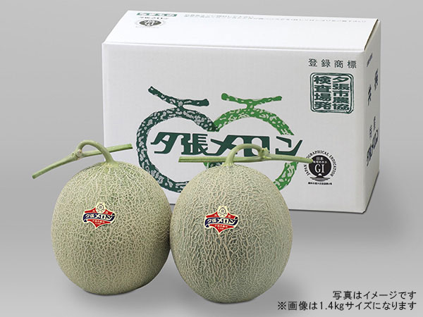 夕張メロン 2玉入り 良品　化粧箱入り 夕張メロン・大玉 良品2玉セット | 夕張メロン 大玉 優/良 | 夕張