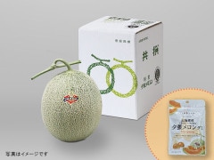 ���������ͼĥ��������ʣ��̡ܥ���󥰥�