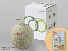 ���������ͼĥ����󡡽��ʣ��̡ܥ���󥰥�