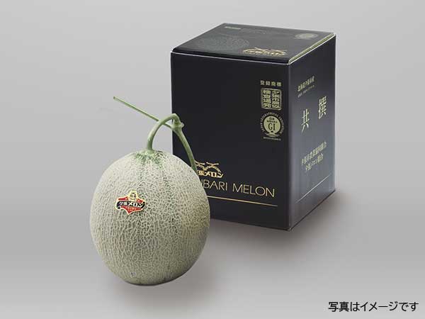 夕張メロン 特秀品1玉（スペシャルボックス入） | 夕張メロン