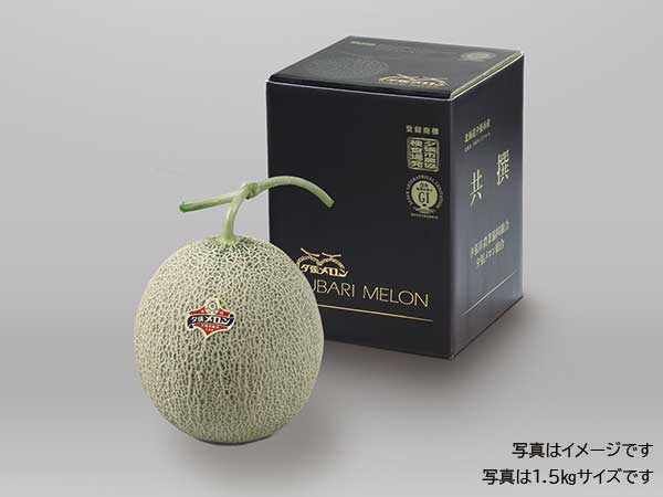 夕張メロン・大玉 秀品1玉（スペシャルボックス入） | 夕張メロン