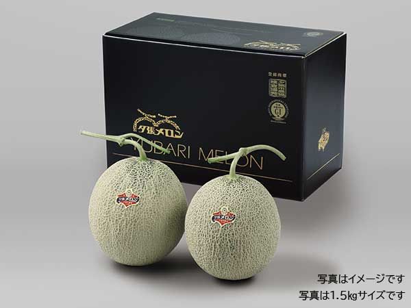 ͼĥ̡ʣ̥åȡʥڥܥå