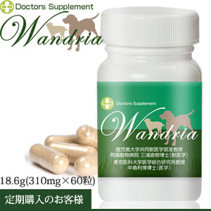 []ڥɥꥢ 310mg60γ<br>̲ʤΤᡢݥȤѤ뤳ȤϽޤ