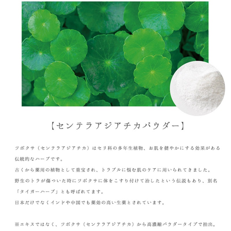 ��SPICARE V3 set up powder�ۡ����ԥ��� V3 ���åȥ��åץѥ����� 11.5g��