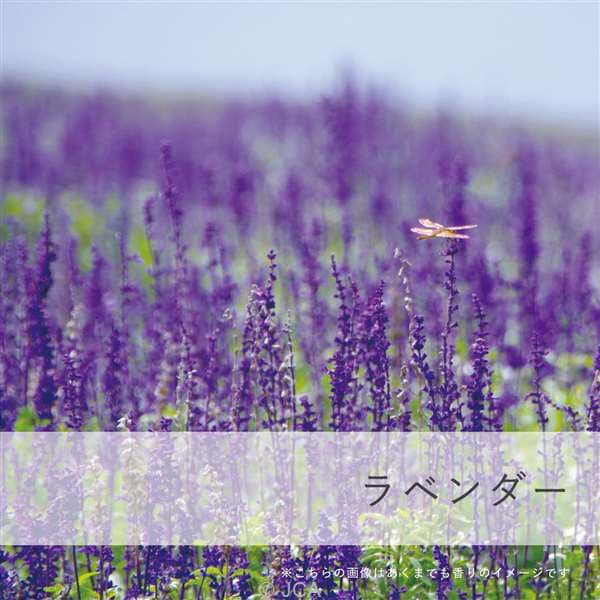 ラベンダーフリージアフランス グラース産 キャンドル