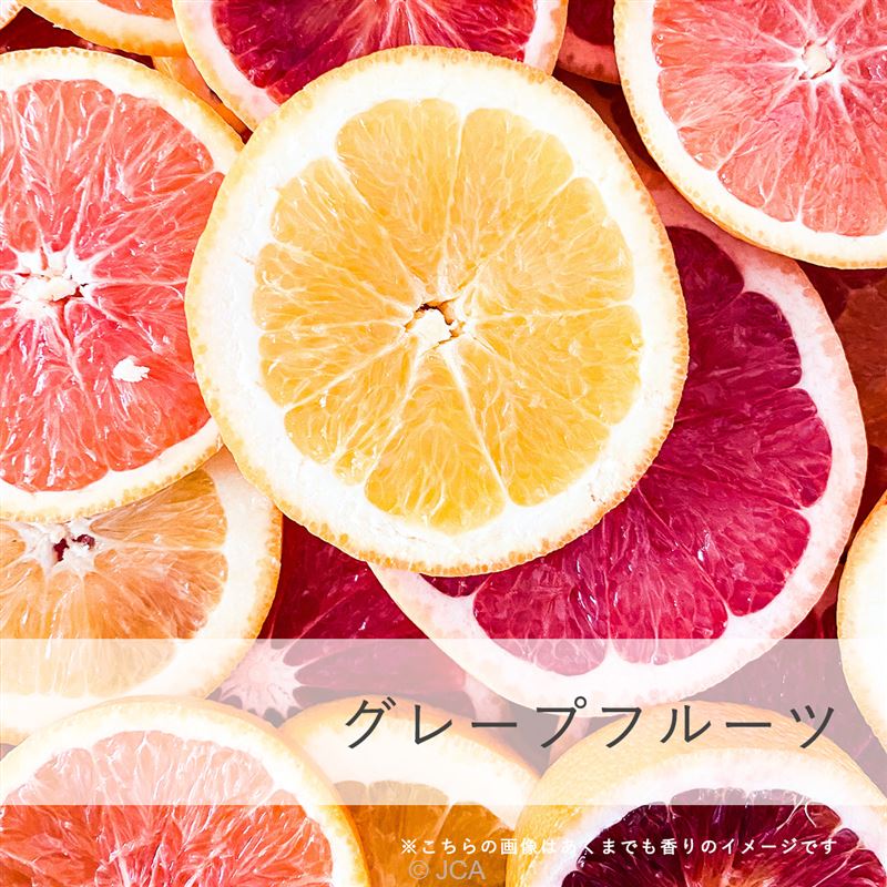 ���������졼�ץե롼�� �������50���졿100����