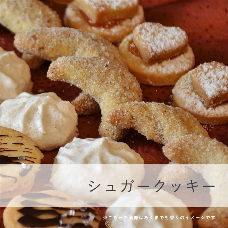 ���������奬�����å��� �������50���졿100����