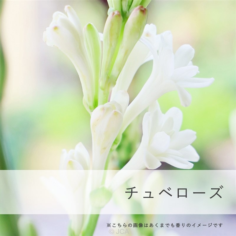 ����������٥����� �������50���졿100����