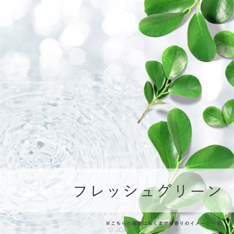 �������ե�å��奰�꡼�� �������50���졿100����