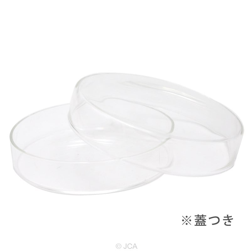 シャーレガラス（フタつき） | その他商品／OTHER GOODS,ガラス・ポリ