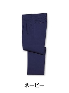 TomoeSAKURA H4310 ġåѥ [](Բե꡼)