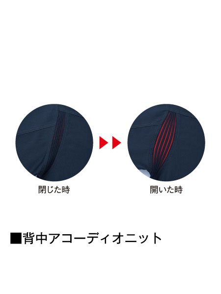 ��Jawin�� 52304 Ĺµ����� [����]