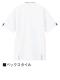 ��WHISeL�� WH12015 �˻Ҳ���