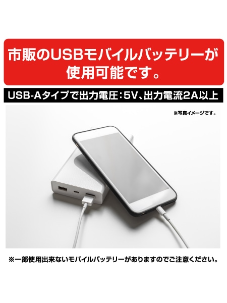 FEVER GEAR】 FG10020 電熱パッド（モバイルバッテリー対応）[秋冬