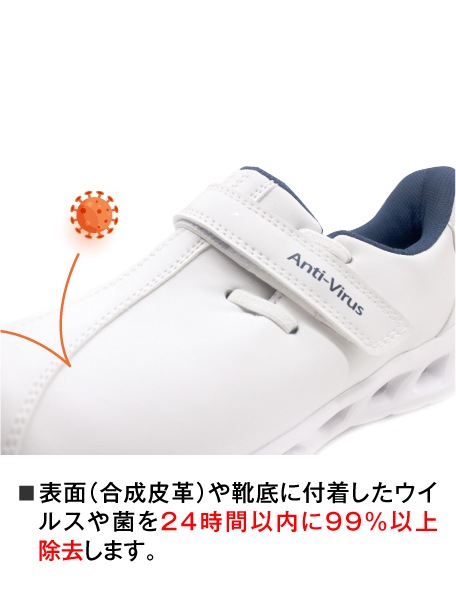 ��WHISeL�� F2022 ����������륹 [�˽�����]