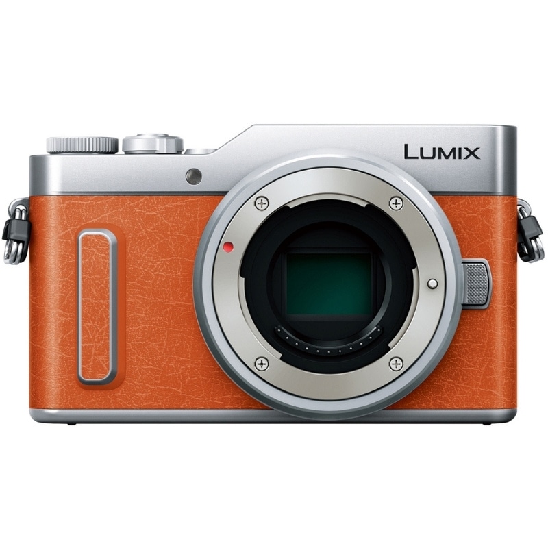 ミラーレス一眼,Panasonic | JAPAN CAMERA (ジャパンカメラ)