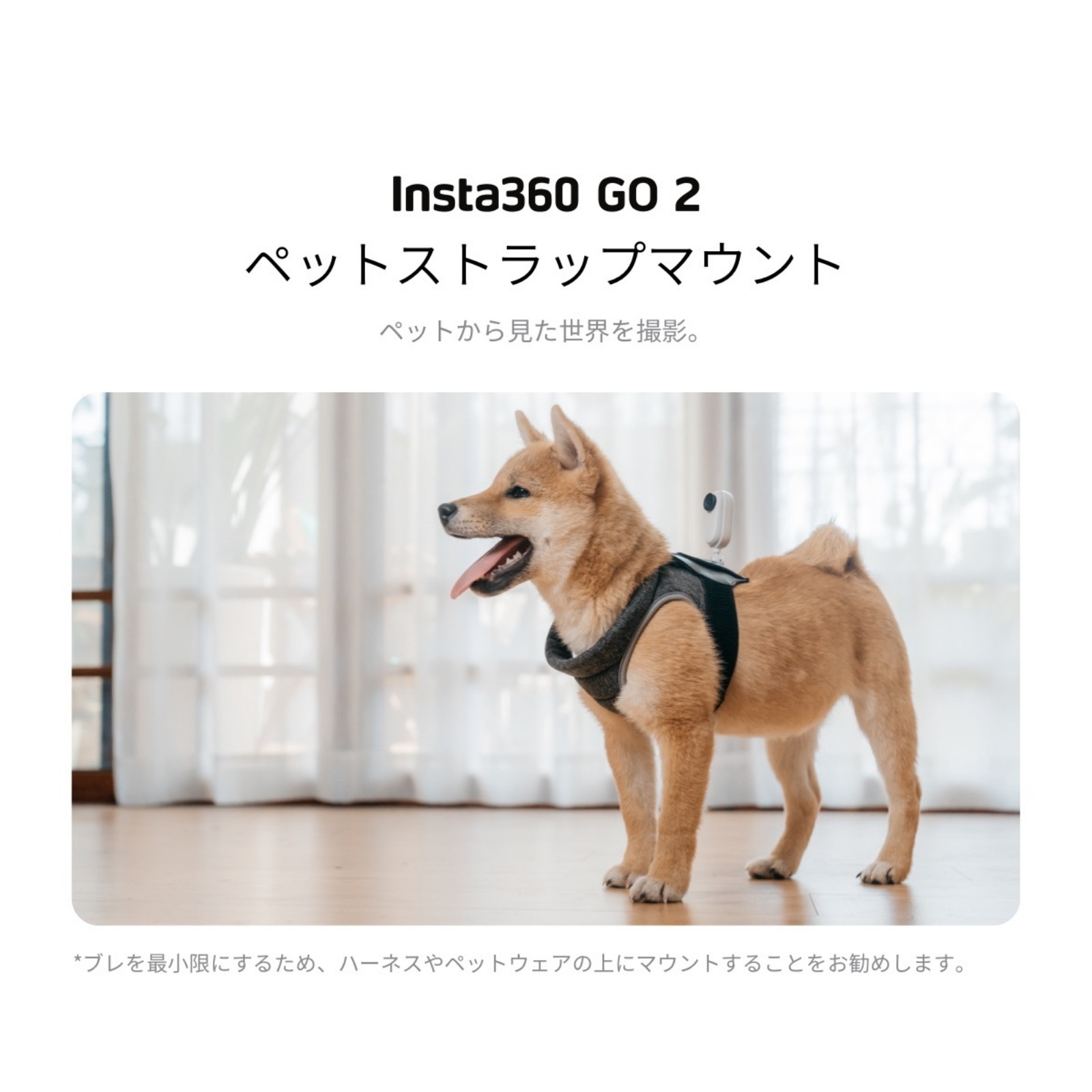 Insta360 GO2 64GB +ペットストラップマウント+レンズガード Insta360 GO2 64GB +ペットストラップマウント+レンズガード