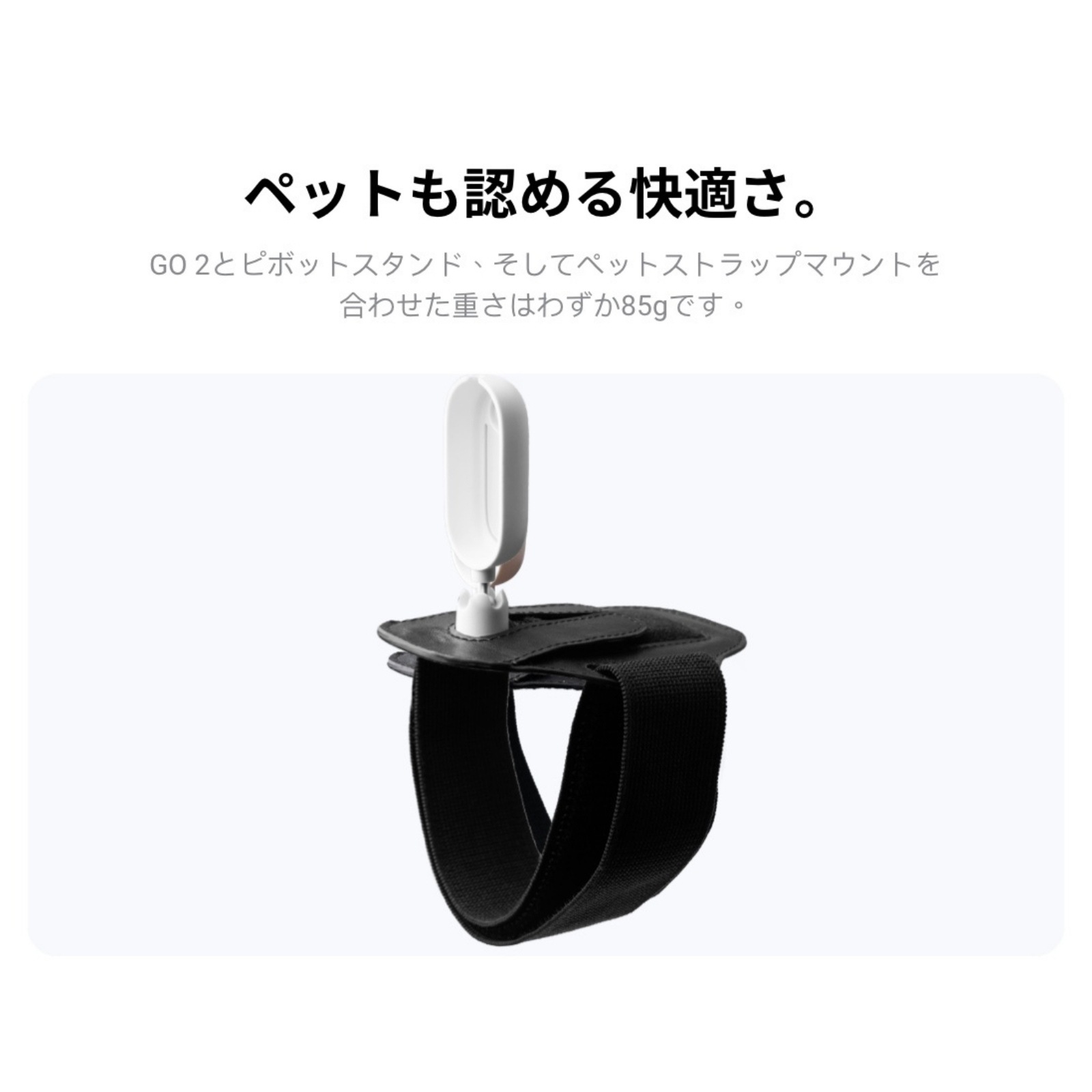 Insta360 GO 2 64GB ペットマウントキット 正規代理店 GO 2本体 ペット 