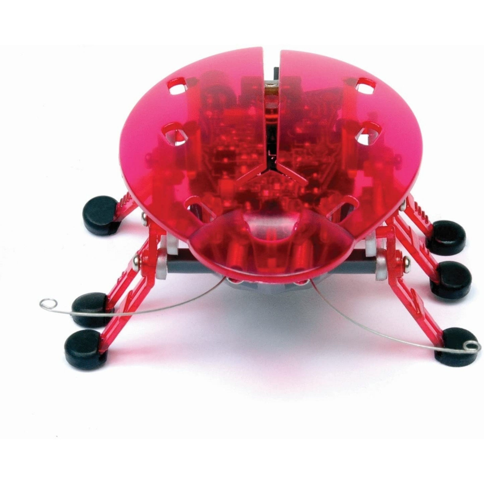 ドリームブロッサムヘックスバグ HEX BUG カブトムシ ロボット 昆虫