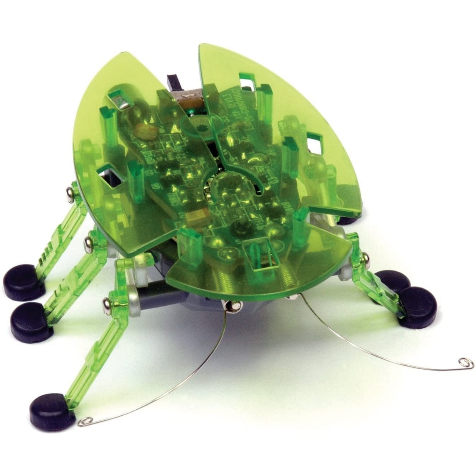 ドリームブロッサムヘックスバグ HEX BUG カブトムシ ロボット 昆虫